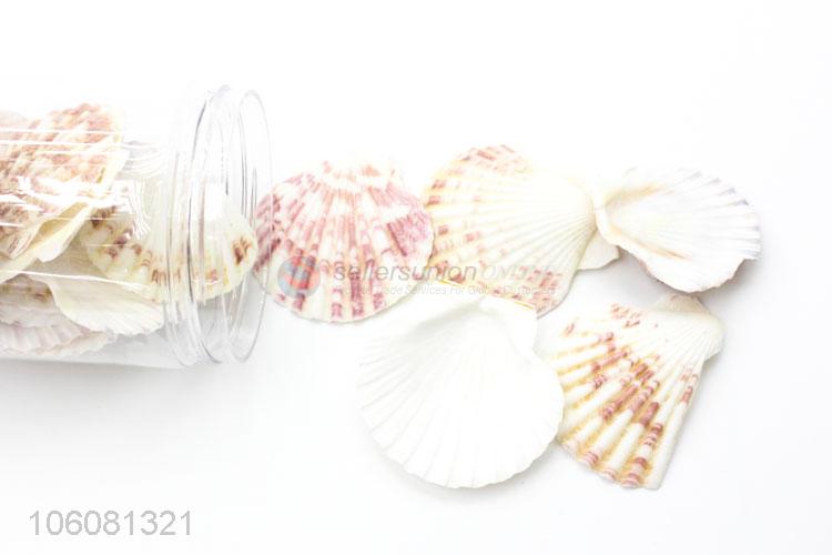 Wholesale sea shells shell craft aquarium nautical decor ornaments