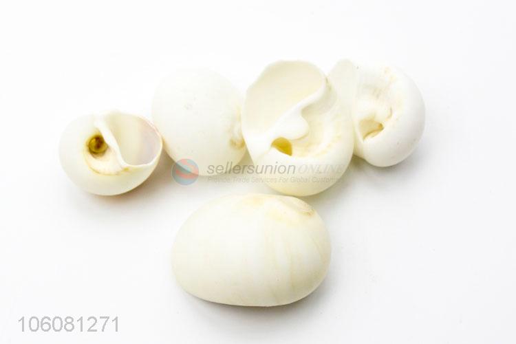 Wholesale price white sea shell best shell conch crafts