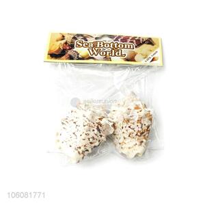 New design natural sea shell set best decoration