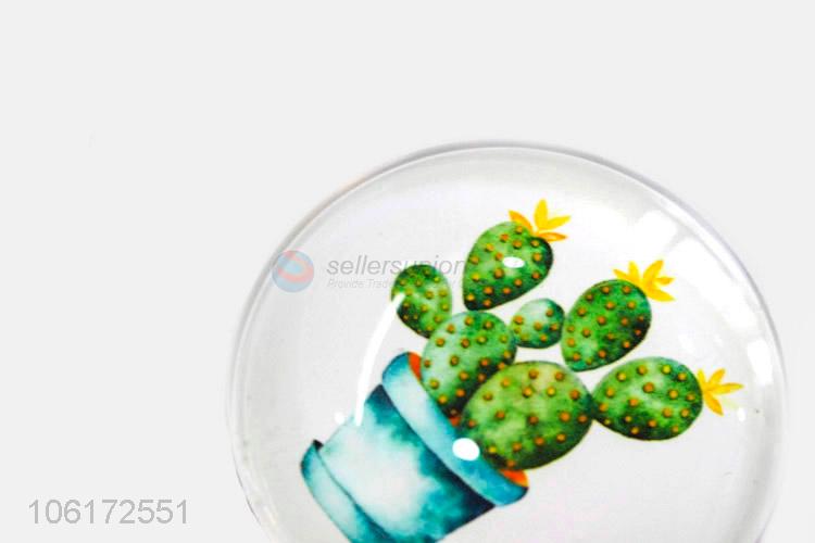 Reasonable price decorative cactus picture glass fridge magnet