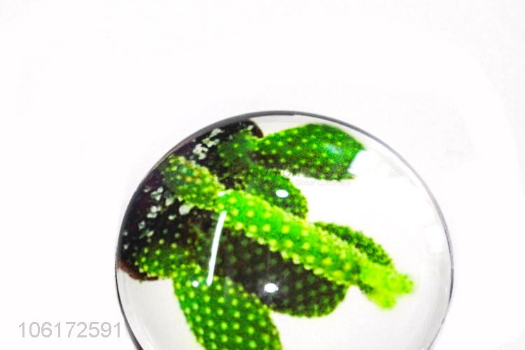 Latest style cactus pattern round glass fridge magnet