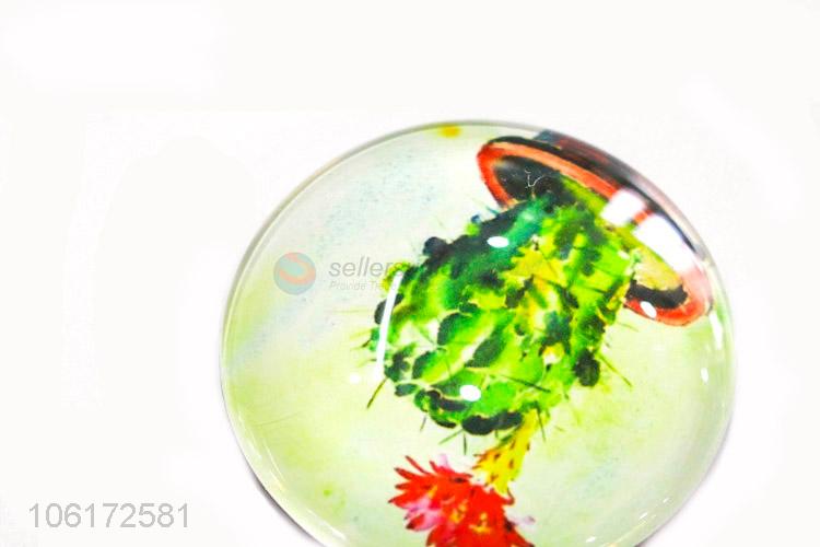 Great sales decorative cactus picture glass fridge magnet