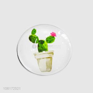 Top quality decorative cactus picture glass fridge magnet