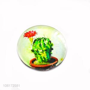 Great sales decorative cactus picture glass fridge magnet