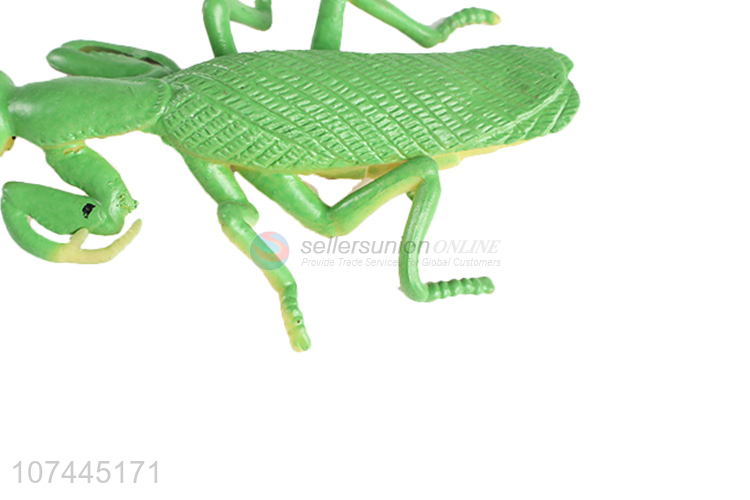 New arrival simulation animal model soft squishy locust toy