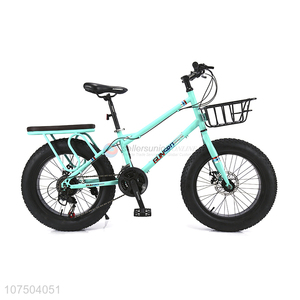Wholesale 20 Inch Colourful Snow Bike Fat Tire Mountain Bike With Back Seat