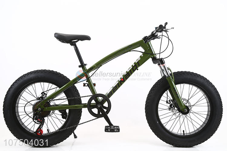 Good Quality 20 Inch Full Suspension Steel Frame Snow Bicycle