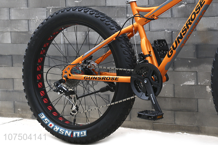 Newest Model 26 Inch Fat Tire Mountain Bike Snow Bike