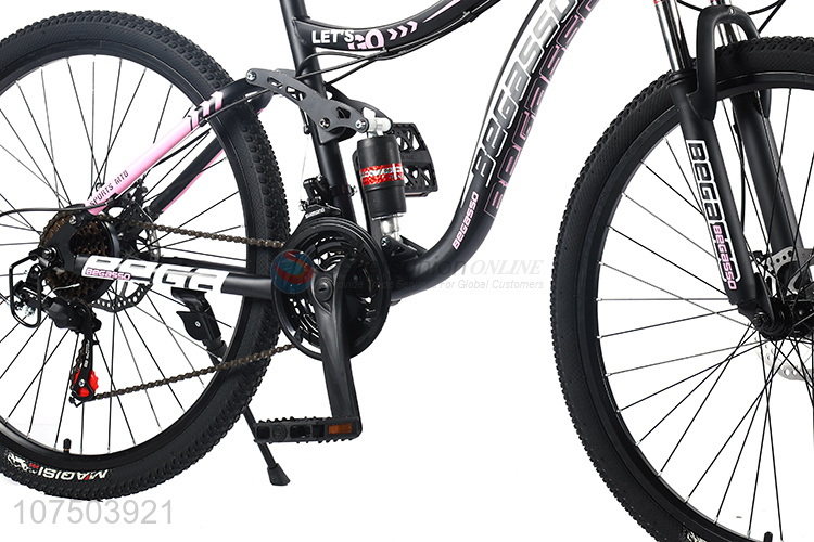 Custom Big Brand Mountain Bike Carbon Steel Frame Bicycle