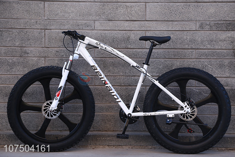 Fashion Design 26 Inch Fat Mountain Snow Bike Big Tire Bicycle