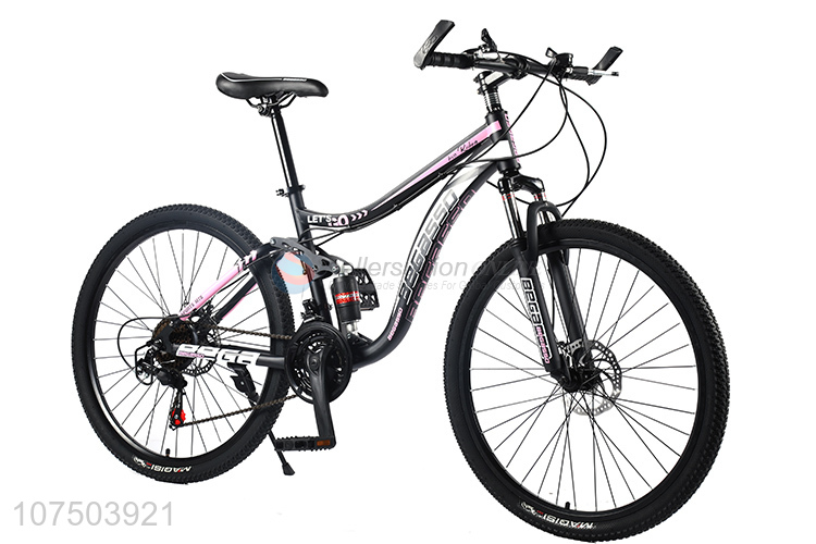 Custom Big Brand Mountain Bike Carbon Steel Frame Bicycle