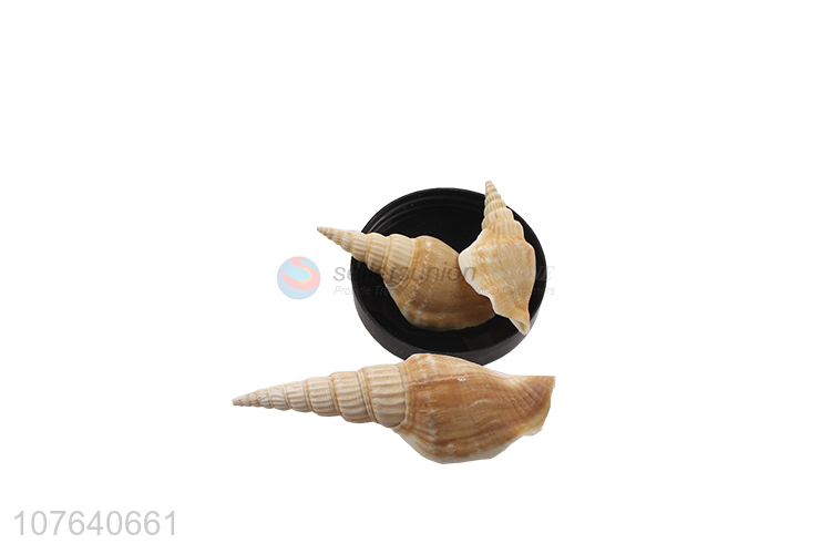 Wholesale diy seascape decoration axe snail crafts