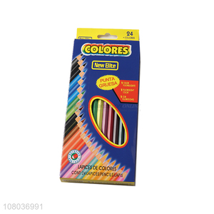 Custom 24 Pieces Plastic Colored Pencils For Children