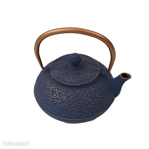 New arrival 0.8L cast iron teapot Japanese style tetsubin tea kettle
