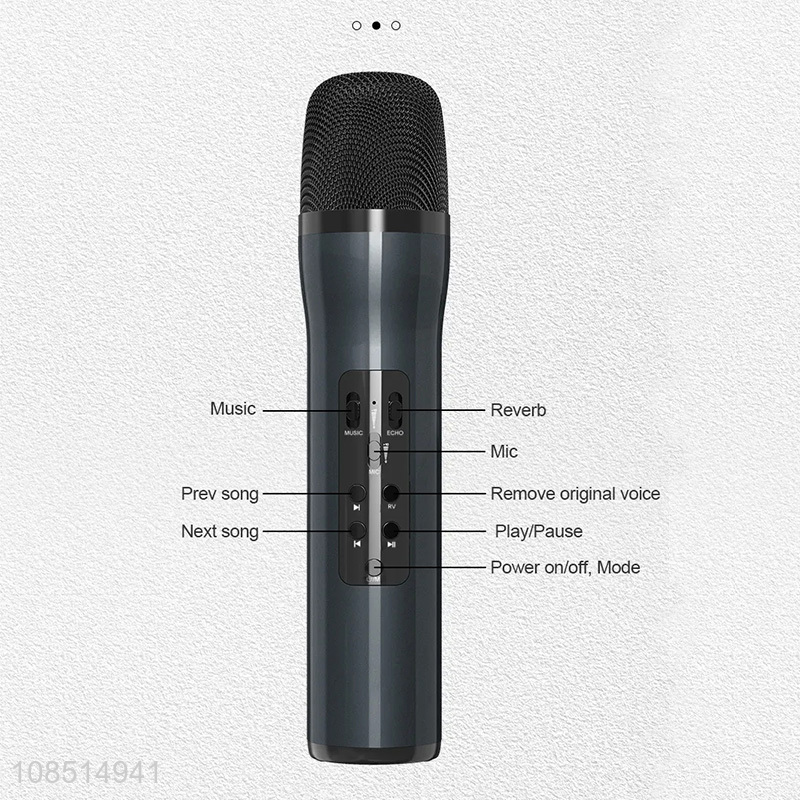 Factory supply portable handheld wireless karaoke home microphone and speaker