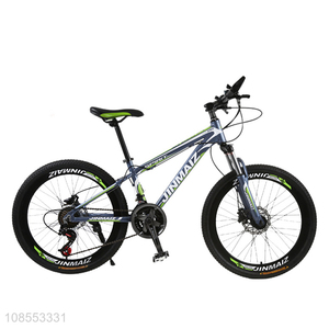 Top selling outdoor sports off road mountain bicycle