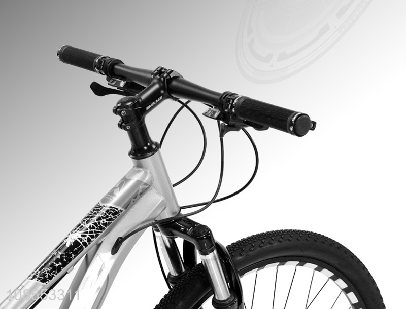 New arrival carbon steel off road bike mountain bicycle