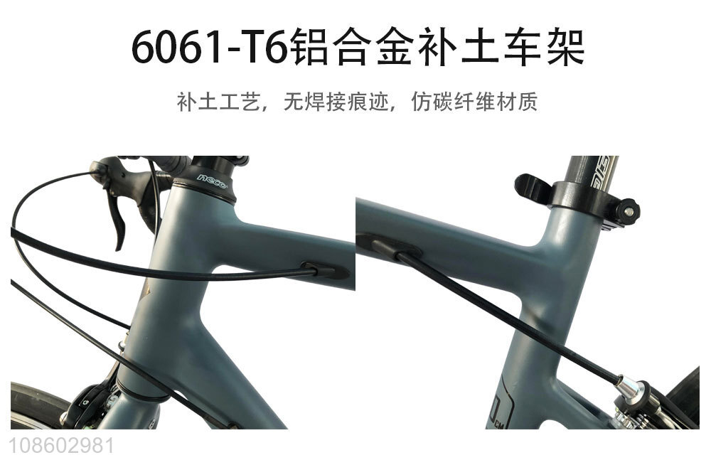 Popular products outdoor variable speed road bike for adult