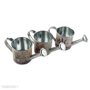 Yiwu factory metal flower pot watering can for sale