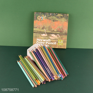 Wholesale 48 colors Morandi colored pencils for coloring and painting