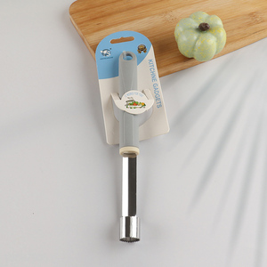 Hot sale kitchen gadget fruit pitting tool fruits corer