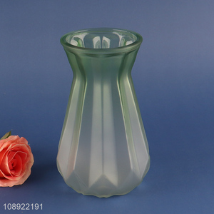 Good selling home decor glass flower vase hydroponic vase