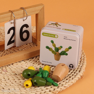 New Product Balancing Cactus Toy Wooden Educational Toys