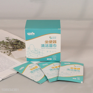 Wholesale 30PCS Individually Wrapped Flushable Toilet Cleaning Wipes for Travel