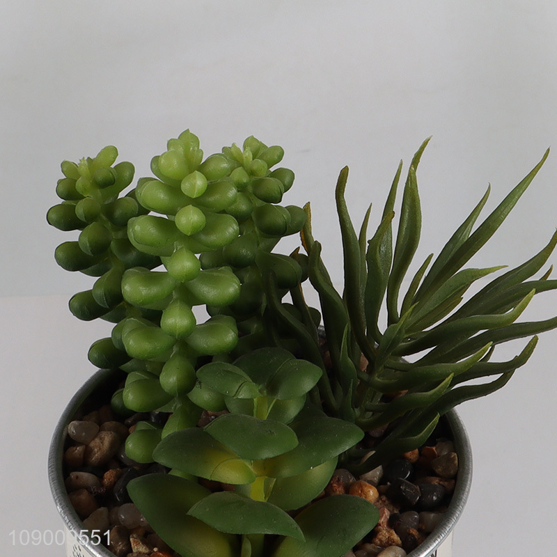 Hot items natural artificial potted succulent plants faux plants for sale