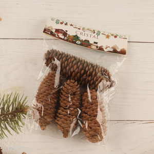 Good Quality 4PCS Natural Pine Cones Rustic Pinecones for Christmas Decoration