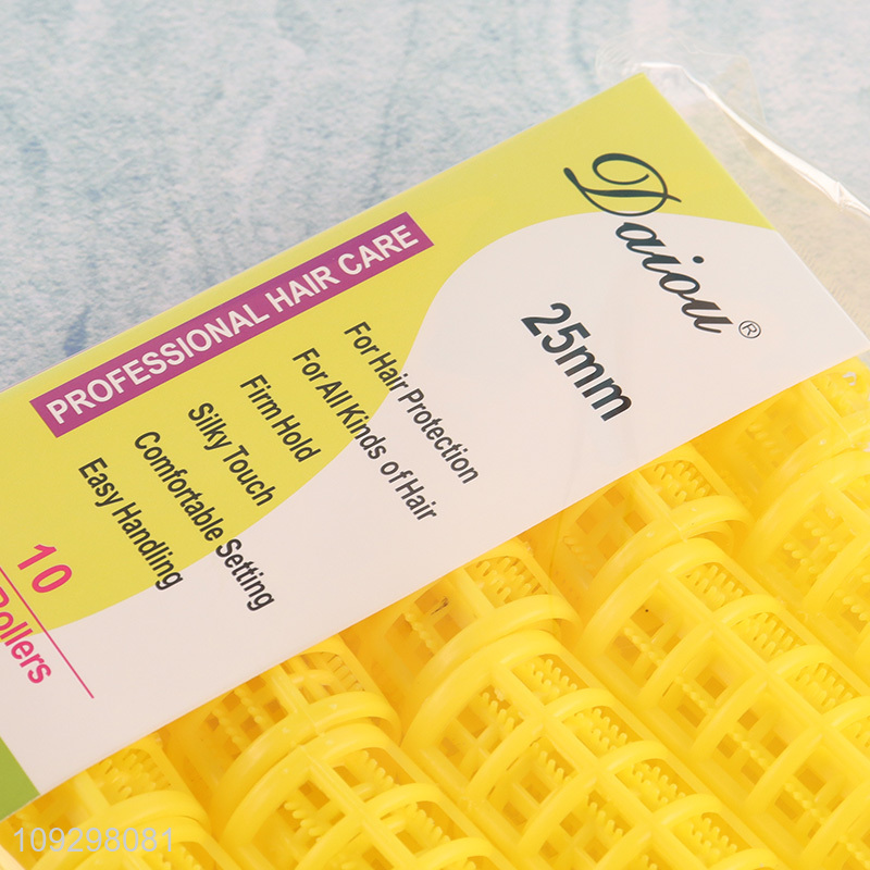Top quality 10pcs 25mm hair roller set hair care