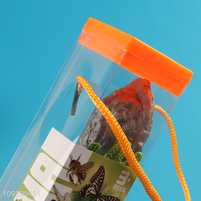 New product natural 24pcs insect model toys