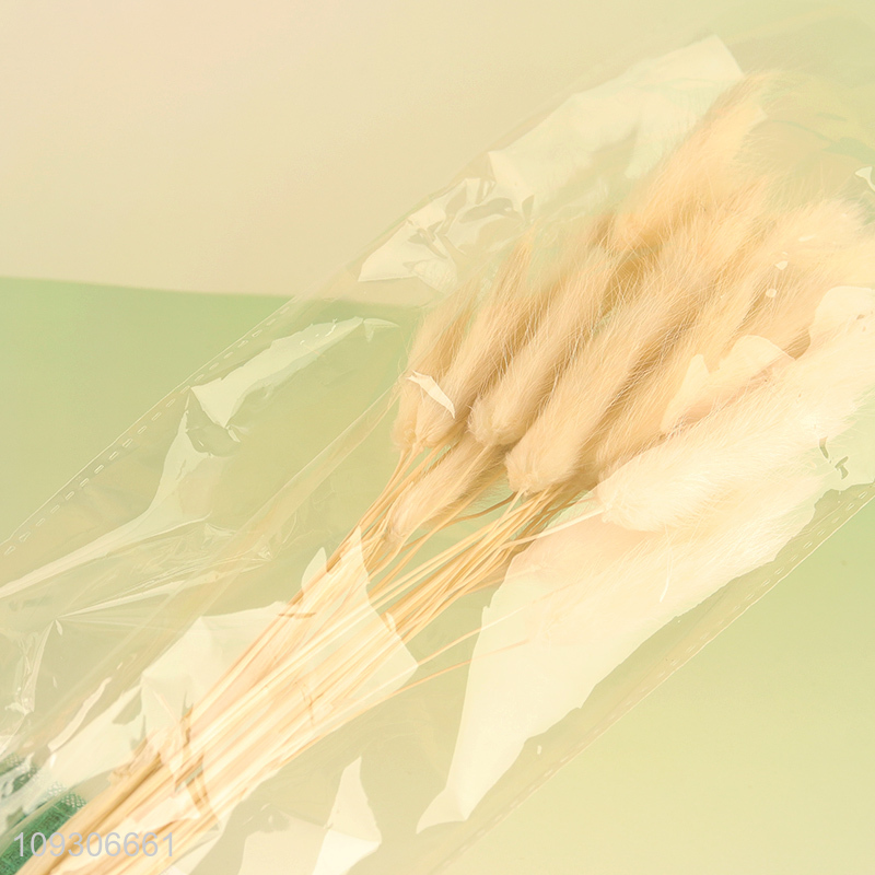 Factory wholesale natural dried flower rabbit tail grass