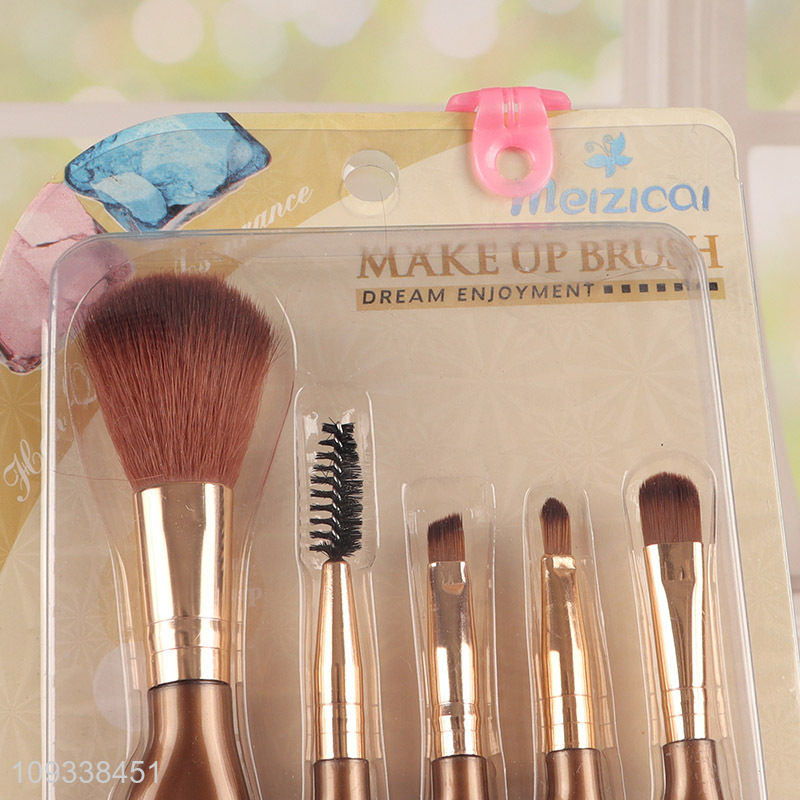 Top quality 5pcs cosmetic brush set for makeup tool