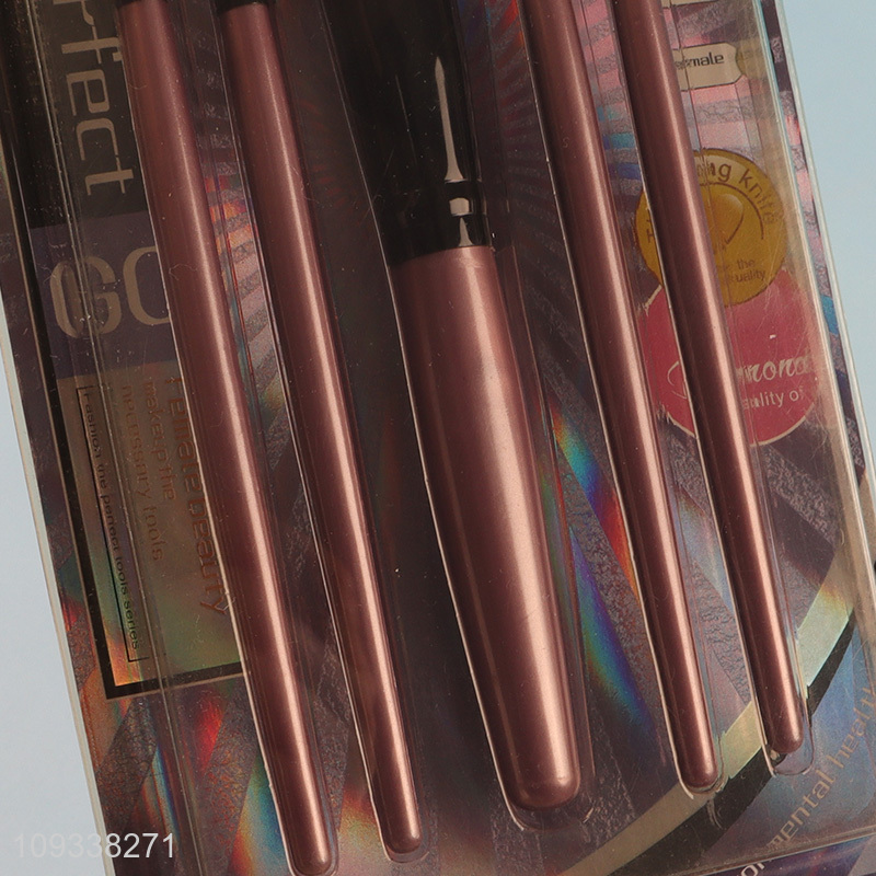 Most popular 5pcs makeup tool cosmetic brush set