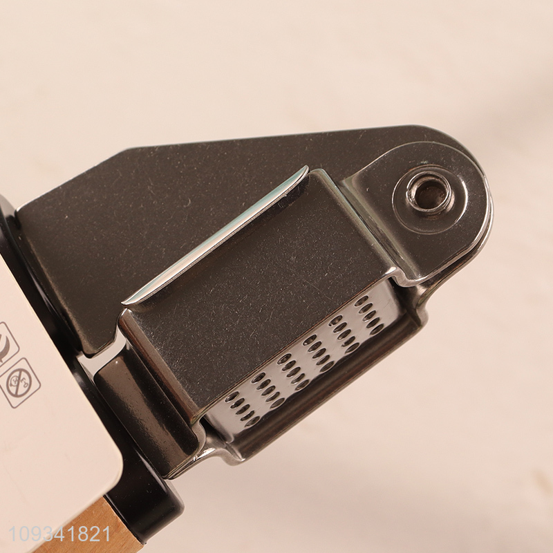 China products kitchen gadget garlic press for sale