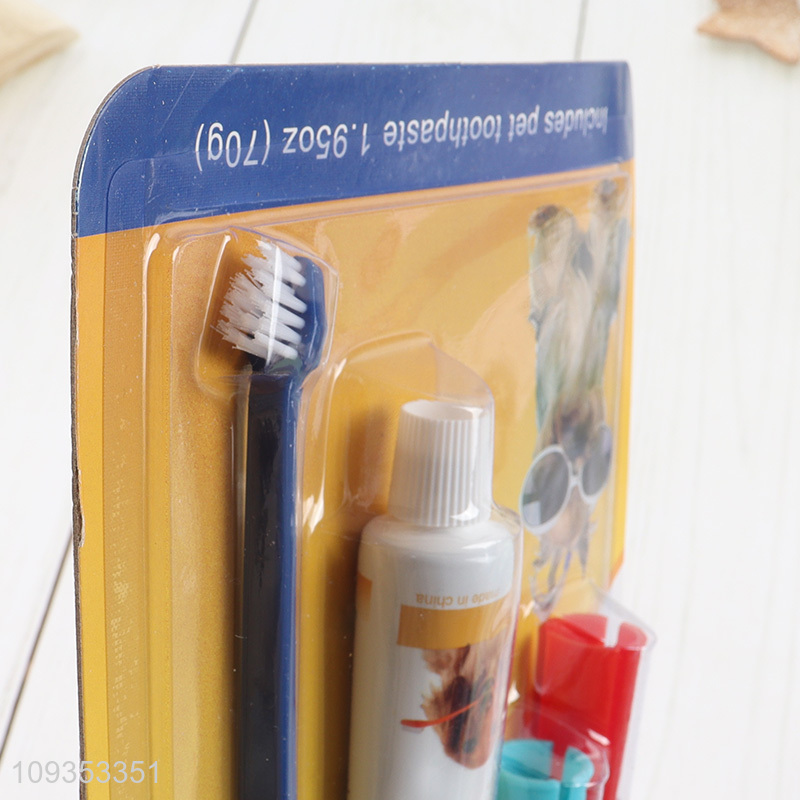New arrival pet teeth cleaning pet toothbrush with toothpaste