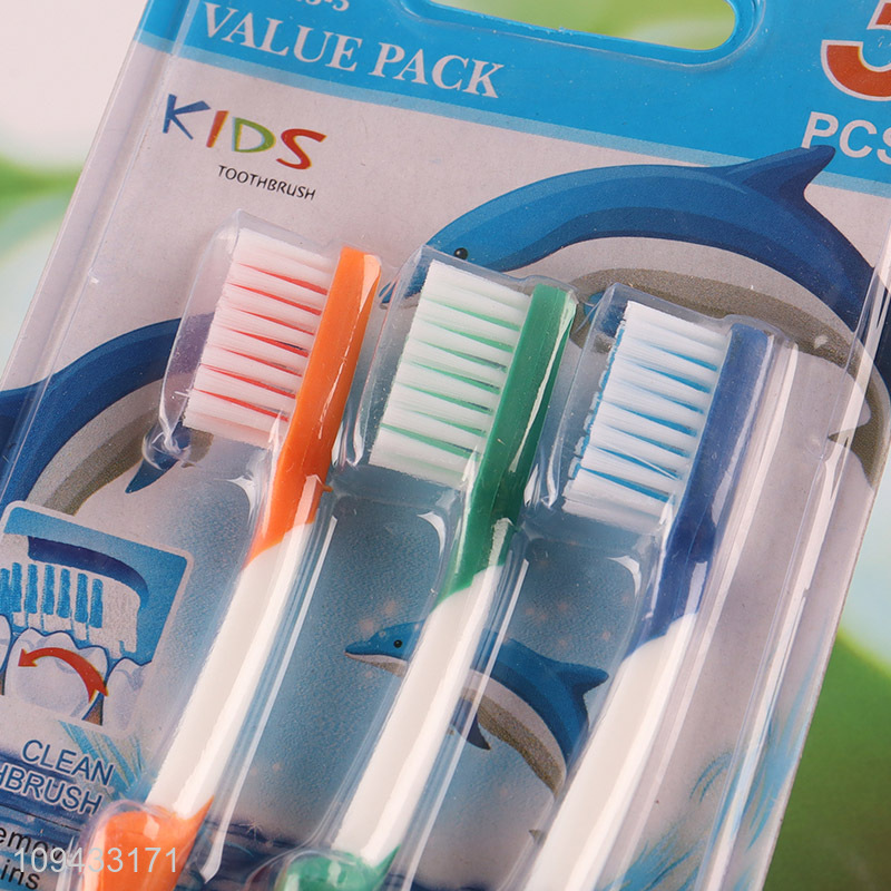 Wholesale 3 Pieces Daily Oral Care Toothbrush Set