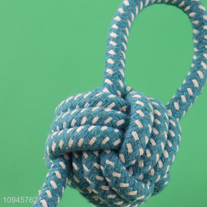 Hot selling blue pet chew toys interactive toys