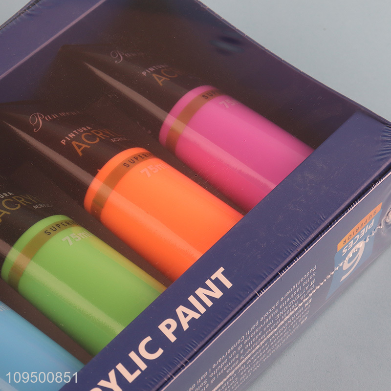 Hot selling 6colors fluorescent acrylic paint set