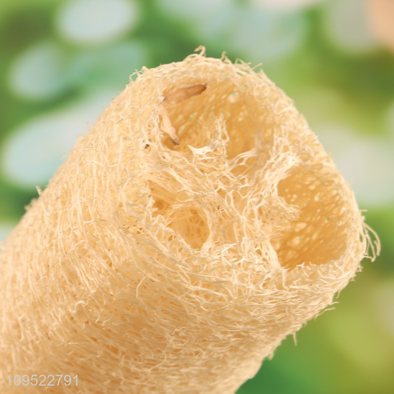 Low price loofah bath shower brush with wooden handle
