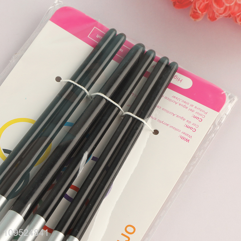 Best quality 6pcs nylon bristle art painting brush kit