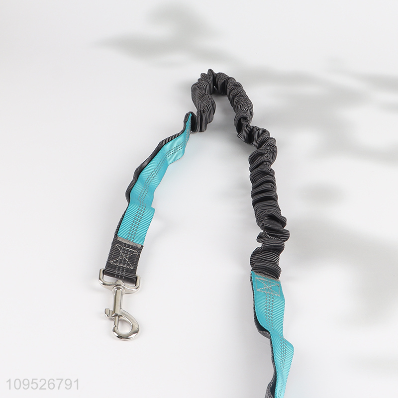 Latest products pet collar leash kit for walking