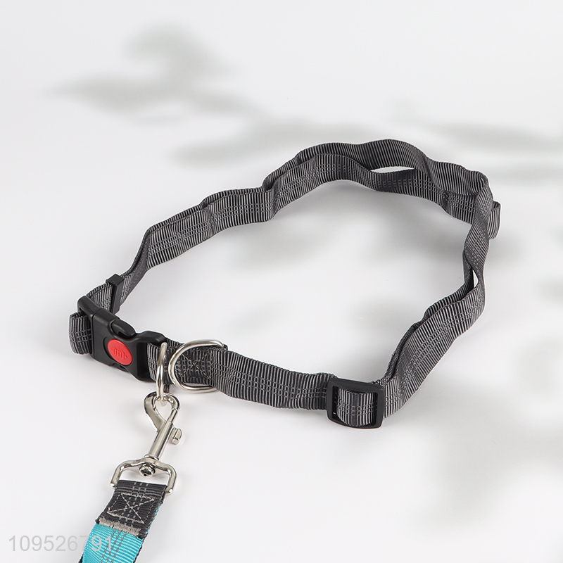 Latest products pet collar leash kit for walking