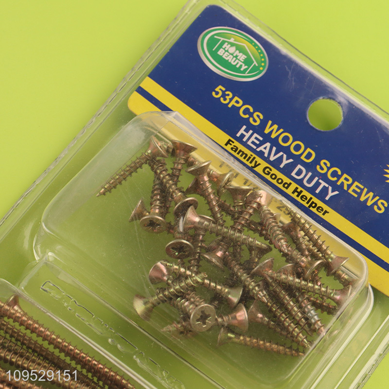 Top selling 53pcs self tapping wood screw